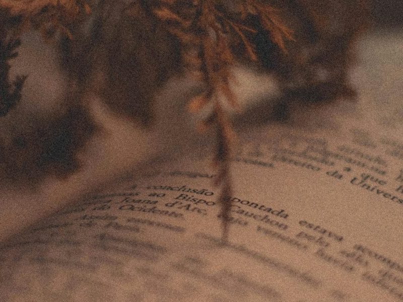 This article helps readers cut through the modern flood of fantasy books and find the next series they'll love by combining 2026 market data, reading trends, an...