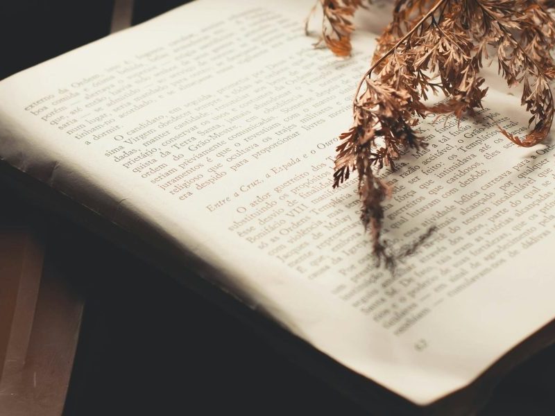This article reframes Charles Dickens as a writer whose work often reads like classic fantasy and speculative fiction, arguing that his novels contain ghosts, t...